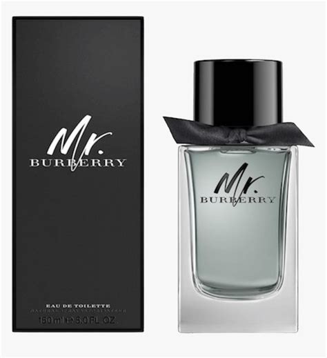 burberry mr burbery m edtv 150 ml|burberry cologne for men.